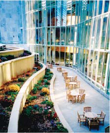 The Gonda Building and patio, Mayo Clinic, Rochester, MN.